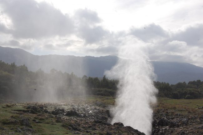 bufones de arenillas – El Digital de Asturias bufones de arenillas