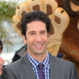 David Schwimmer