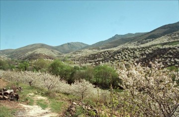6892252w – El Digital de Asturias 6892252w