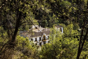 7853972w – El Digital de Asturias 7853972w