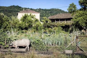 8165516w – El Digital de Asturias 8165516w