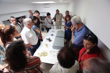 fotonoticia_20150602162316_800