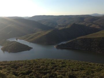 fotonoticia_20150604142236_800