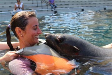 fotonoticia_20150605130314_800