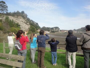 fotonoticia_20150606100445_800