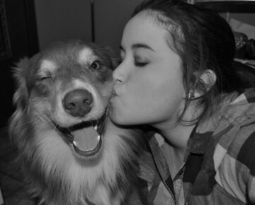 fotonoticia_20150606102933_800