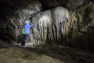 fotonoticia_20150606112933_800