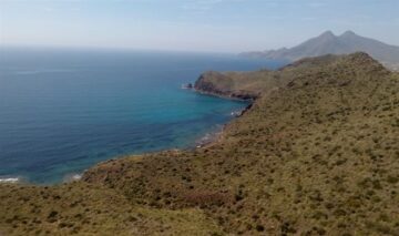 fotonoticia_20150608183836_800