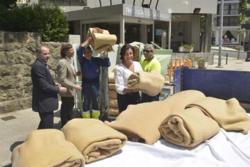 fotonoticia_20150609165102_800