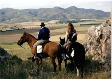 fotonoticia_20150611172531_800