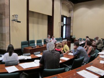 fotonoticia_20150612124215_800