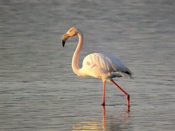 fotonoticia_20150612153946_800