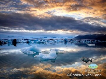 fotonoticia_20150618114918_800