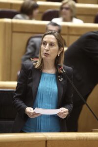 fotonoticia_20150623200452_800