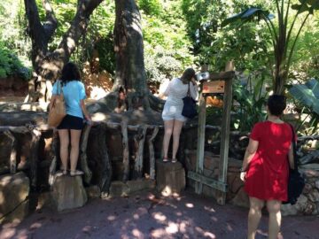 fotonoticia_20150625165349_800