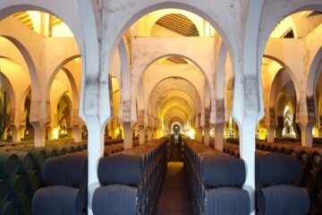 fotonoticia_20150629160107_800