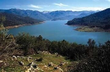 fotonoticia_20150703160635_800