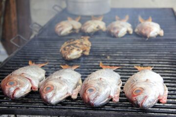 fotonoticia_20150703174745_800