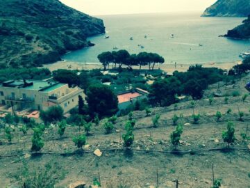 fotonoticia_20150703182119_800