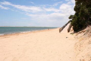 fotonoticia_20150706194507_800