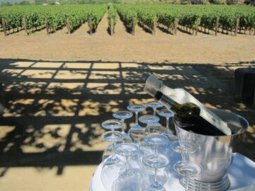 fotonoticia_20150707113336_800