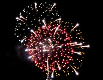 fotonoticia_20150708144102_800