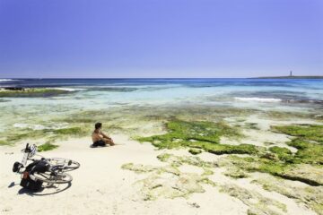 fotonoticia_20150713142511_800