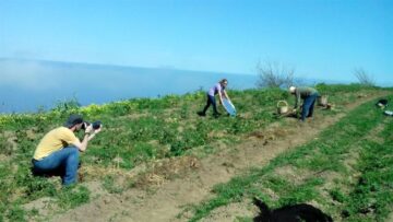 fotonoticia_20150713165711_800