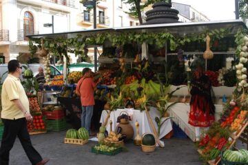 fotonoticia_20150716145037_800