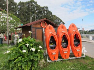 fotonoticia_20150717112456_800