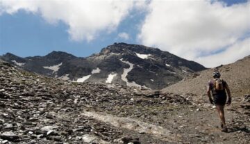 fotonoticia_20150723121914_800