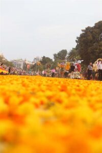 fotonoticia_20150724183314_800