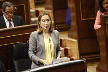 fotonoticia_20150727112126_800