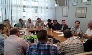 fotonoticia_20150728092708_800