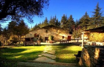 fotonoticia_20150728133103_800