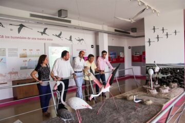 fotonoticia_20150729171249_800