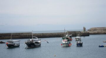 pesca-asturias