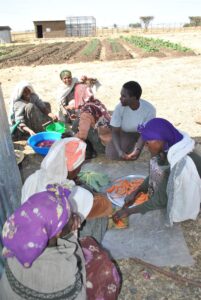 fotonoticia_20150730125723_800