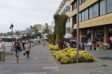 fotonoticia_20150731110909_800