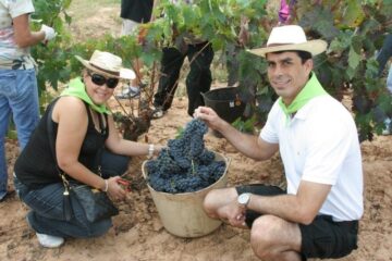 fotonoticia_20150731132447_800