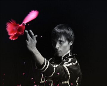 fotonoticia_20150731163546_800