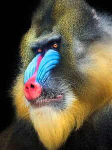 fotonoticia_20150803132904_800