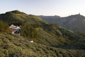 fotonoticia_20150804135755_800