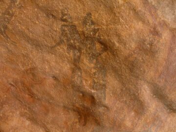 fotonoticia_20150805102516_800