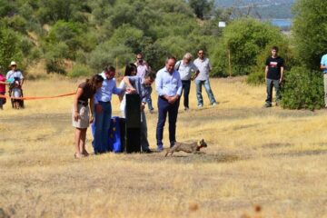 fotonoticia_20150805140443_800