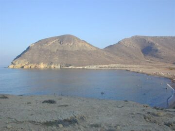 fotonoticia_20150805174315_800