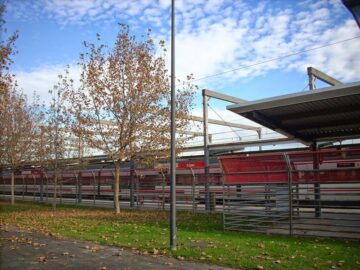 fotonoticia_20150806183511_800