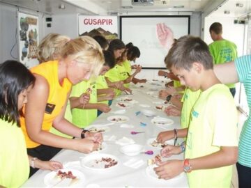 fotonoticia_20150808114707_800