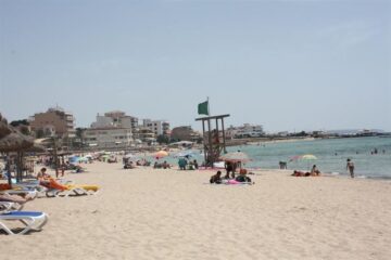 fotonoticia_20150810163156_800