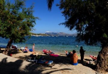 fotonoticia_20150814142143_800